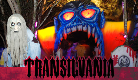 Cartaz  - Transilvnia, Terça-feira 22 de Janeiro de 2008