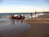 Praia dos Coqueiros - Trancoso